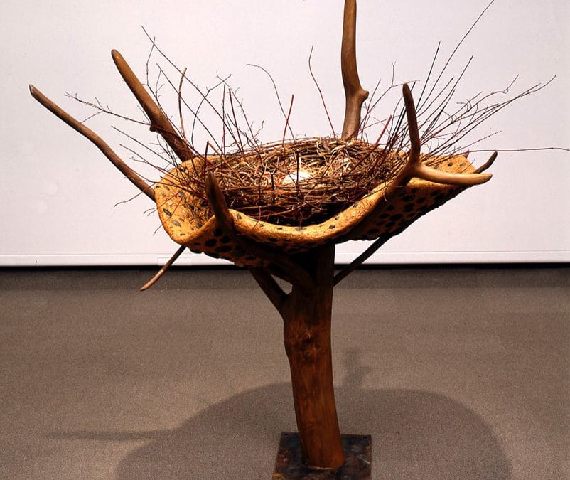 Thunderbird Nest